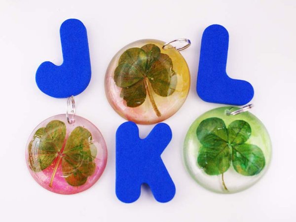 画像6: 摘みたてを封じ込めた四葉のクローバー15個【送料無料】日本一の星降る村・長野県阿智村のよつばのクローバーを阿智村長岳寺でご祈祷しました (6)