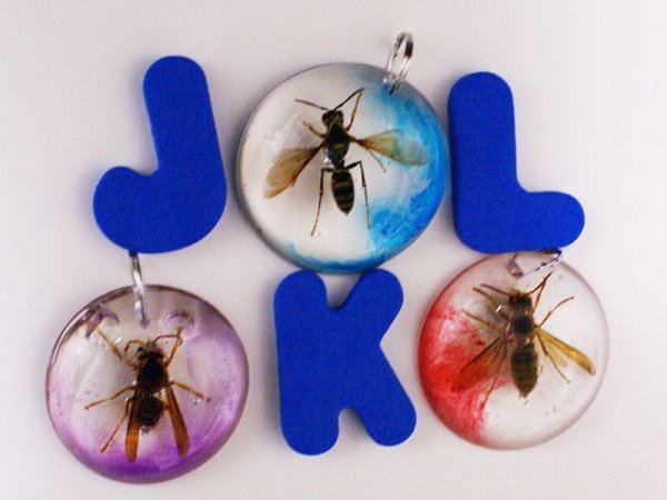 画像7: オオスズメバチのチャーム15個【送料無料】日本一の星降る村・長野県阿智村にて捕獲し、阿智村長岳寺でご祈祷しました (7)