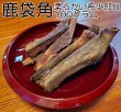 画像1: 【2回目以降増量】【合計1,800円で送料無料】角なのに硬過ぎない！わんこ用鹿【希少部位】袋角　鹿茸と呼ばれる一瞬しか獲れない貴重な柔らかい角　長野県阿智村産 (1)