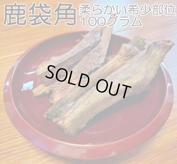 画像1: 【2回目以降増量】【合計1,800円で送料無料】角なのに硬過ぎない！わんこ用鹿【希少部位】袋角　鹿茸と呼ばれる一瞬しか獲れない貴重な柔らかい角　長野県阿智村産 (1)