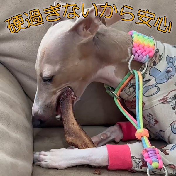 画像4: 【2回目以降増量】【合計2,600円で送料無料】角なのに硬過ぎない！わんこ用鹿50g【希少部位】袋角　鹿茸と呼ばれる一瞬しか獲れない貴重な柔らかい角　長野県阿智村産 (4)