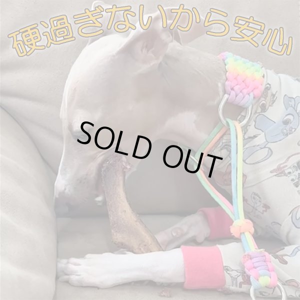 画像4: 【2回目以降増量】【合計1,800円で送料無料】角なのに硬過ぎない!わんこ用鹿【希少部位】袋角 鹿茸と呼ばれる一瞬しか獲れない貴重な柔らかい角 長野県阿智村産 (4)