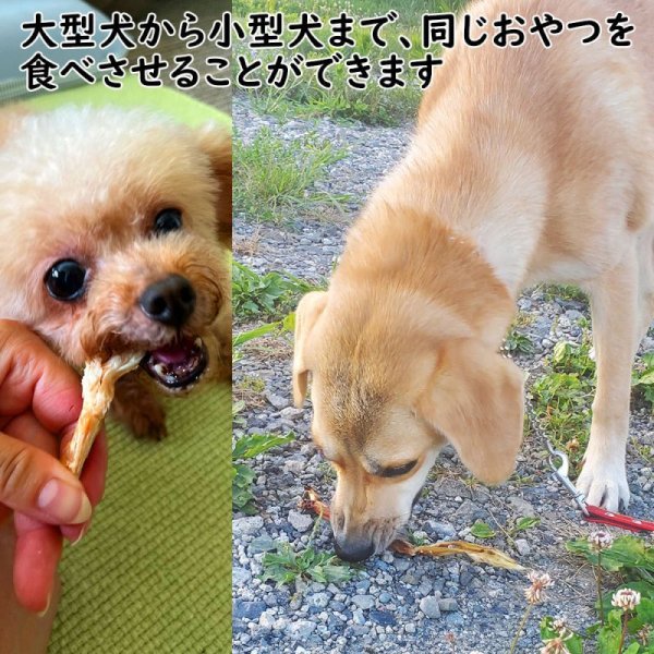 画像5: 【2回目以降おまけ付き】【合計1,800円で送料無料】鹿の首にあるゴムの様な腱を燻製で仕上げてジャーキーにしました 長野県阿智村産 塩調味料不使用 ニホンジカ100% (5)