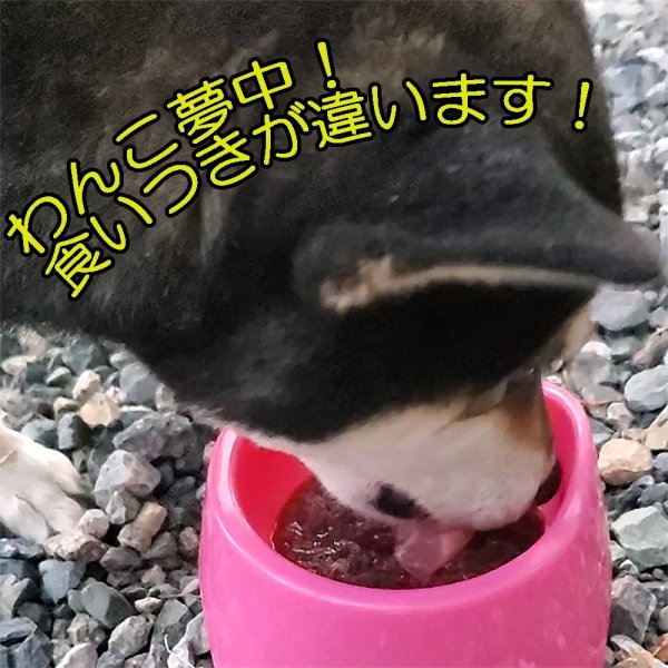 画像3: レバーとミンチの組み合わせが丁度いい！そのままでもトッピングでも美味しいわんこ用レバーペースト５０対５０　長野県阿智村産 (3)