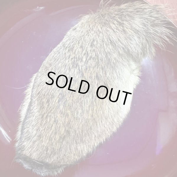 画像4: 【2回目以降増量】【合計1,800円で送料無料】 大きなお耳がコリコリ美味しい！燻製鹿耳　長野県阿智村産 (4)