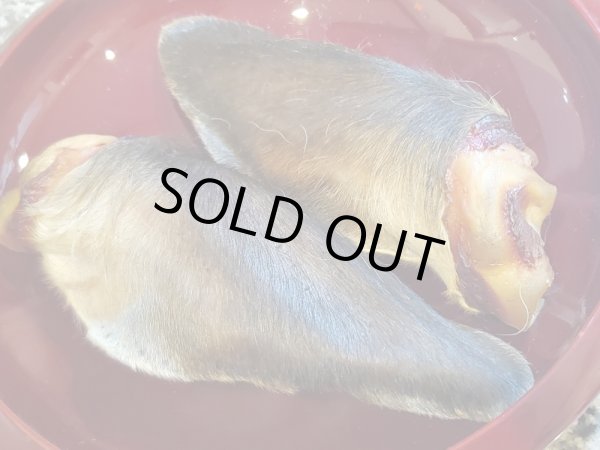 画像2: 【2回目以降増量】【合計1,800円で送料無料】 大きなお耳がコリコリ美味しい！燻製鹿耳　長野県阿智村産 (2)