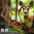 画像1: 【2回目以降増量】【合計1,800円で送料無料】鹿のひづめを有効利用してわんこが大好きな食べても平気なおもちゃを作りました　長野県阿智村産 塩調味料不使用 ニホンジカ100％ (1)