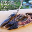 画像4: 【2回目以降増量】【合計1,800円で送料無料】鹿のひづめを有効利用してわんこが大好きな食べても平気なおもちゃを作りました　長野県阿智村産 塩調味料不使用 ニホンジカ100％ (4)