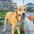 画像5: 【2回目以降増量】【合計1,800円で送料無料】鹿のひづめを有効利用してわんこが大好きな食べても平気なおもちゃを作りました　長野県阿智村産 塩調味料不使用 ニホンジカ100％ (5)