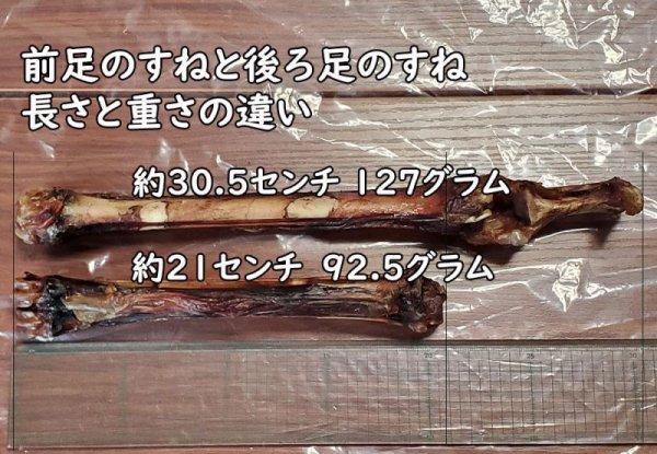 画像6: 【2回目以降おまけ付き】【合計1,800円で送料無料】ちょっと小さめ食べやすい!犬用鹿骨前足中手骨(スネ)燻製1本 かぐわしい燻製の香りが人の鼻腔までをもくすぐります 長野県阿智村産 (6)