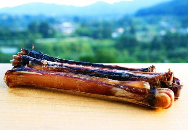画像4: 【2回目以降おまけ付き】【合計1,800円で送料無料】ちょっと小さめ食べやすい!犬用鹿骨前足中手骨(スネ)燻製1本 かぐわしい燻製の香りが人の鼻腔までをもくすぐります 長野県阿智村産 (4)