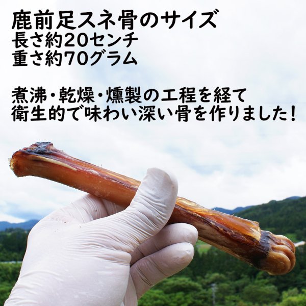 画像3: 【2回目以降おまけ付き】【合計1,800円で送料無料】ちょっと小さめ食べやすい!犬用鹿骨前足中手骨(スネ)燻製1本 かぐわしい燻製の香りが人の鼻腔までをもくすぐります 長野県阿智村産 (3)