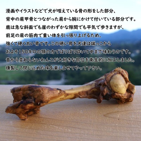 画像2: 【2回目以降おまけ付き】【合計1,800円で送料無料】旨味をぎゅっと閉じ込めた、犬用燻製鹿上腕骨(げんこつ)小サイズ1本 長野県阿智村産 (2)