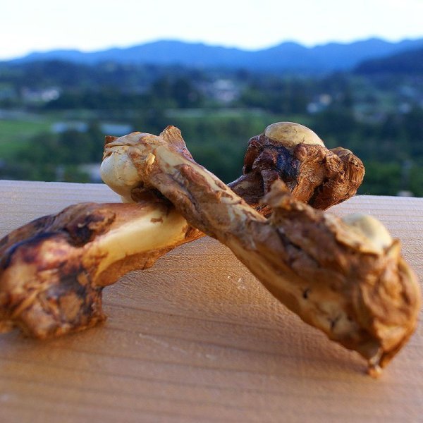 画像3: 【2回目以降おまけ付き】【合計1,800円で送料無料】旨味をぎゅっと閉じ込めた、犬用燻製鹿上腕骨(げんこつ)小サイズ1本 長野県阿智村産 (3)