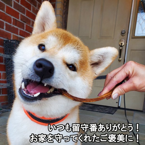 画像2: 【2回目以降増量】【合計1,800円で送料無料】防腐剤添加物一切不使用。山にあるものだけで作った燻製のあばら骨120グラム。ながーいアバラをポキポキぽりぽり美味しそう! 長野県阿智村産 (2)