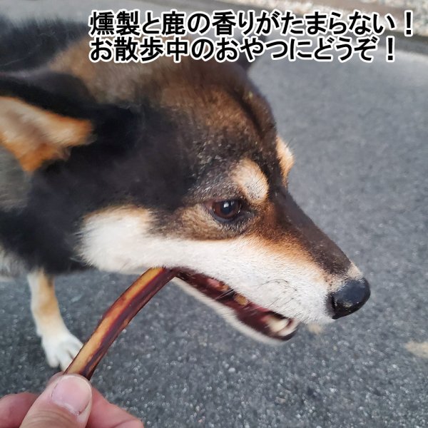 画像3: 【2回目以降増量】【合計1,800円で送料無料】防腐剤添加物一切不使用。山にあるものだけで作った燻製のあばら骨120グラム。ながーいアバラをポキポキぽりぽり美味しそう! 長野県阿智村産 (3)