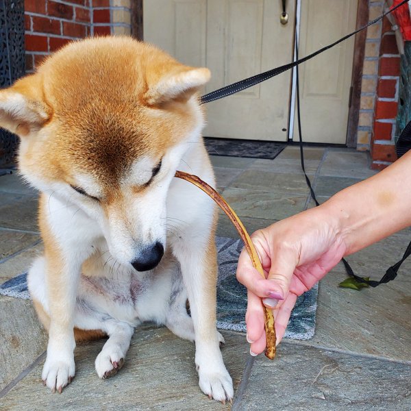 画像4: 【2回目以降増量】【合計1,800円で送料無料】防腐剤添加物一切不使用。山にあるものだけで作った燻製のあばら骨120グラム。ながーいアバラをポキポキぽりぽり美味しそう! 長野県阿智村産 (4)
