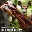 画像1: 【2回目以降おまけ付き】【合計1,800円で送料無料】鹿はごいたS・M・Lサイズ　鹿の肩甲骨を燻製した、おせんべいみたいにぱりぱりかじれる部位です　長野県阿智村産 (1)