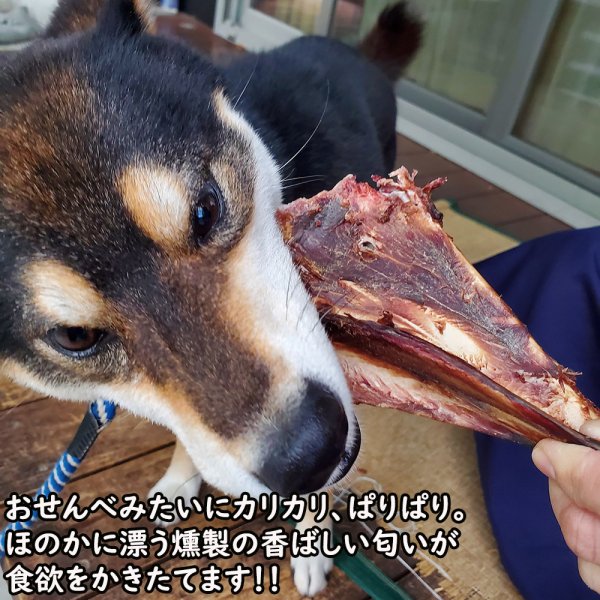 画像2: 【2回目以降おまけ付き】【合計1,800円で送料無料】鹿はごいたS・M・Lサイズ　鹿の肩甲骨を燻製した、おせんべいみたいにぱりぱりかじれる部位です　長野県阿智村産 (2)