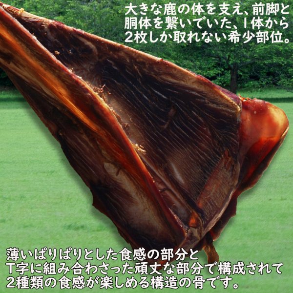 画像3: 【2回目以降おまけ付き】【合計1,800円で送料無料】鹿はごいたS・M・Lサイズ　鹿の肩甲骨を燻製した、おせんべいみたいにぱりぱりかじれる部位です　長野県阿智村産 (3)