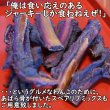 画像3: 【2回目以降増量】【合計1,800円で送料無料】たっぷり肉質！猪肉の燻製ジャーキー30グラム　長野県阿智村産 (3)