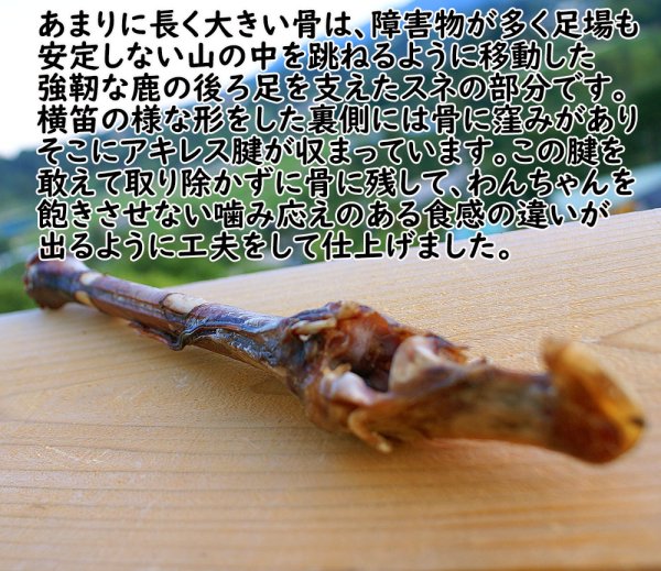 画像2: 【2回目以降おまけ付き】【合計1,800円で送料無料】なが〜い約30センチ!鹿骨後ろ足スネ燻製、大型犬も中型犬も大満足大サイズ1本 長野県阿智村産 (2)