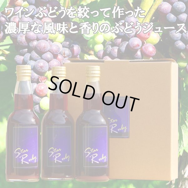 画像2: とても濃厚な味わいのぶどうジュース3本セット　長野県阿智村産で育ったワイン用ぶどうを贅沢に絞ってぶどう100％のジュースを作りました (2)