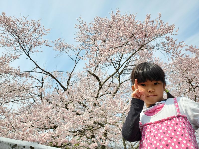 明日から小学1年生